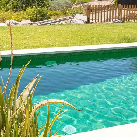 Sa Tanca De Sa Nina